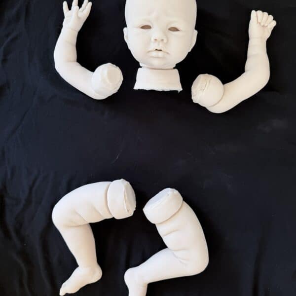Danica BLANK Partial Silicone 5 Piece Doll kit