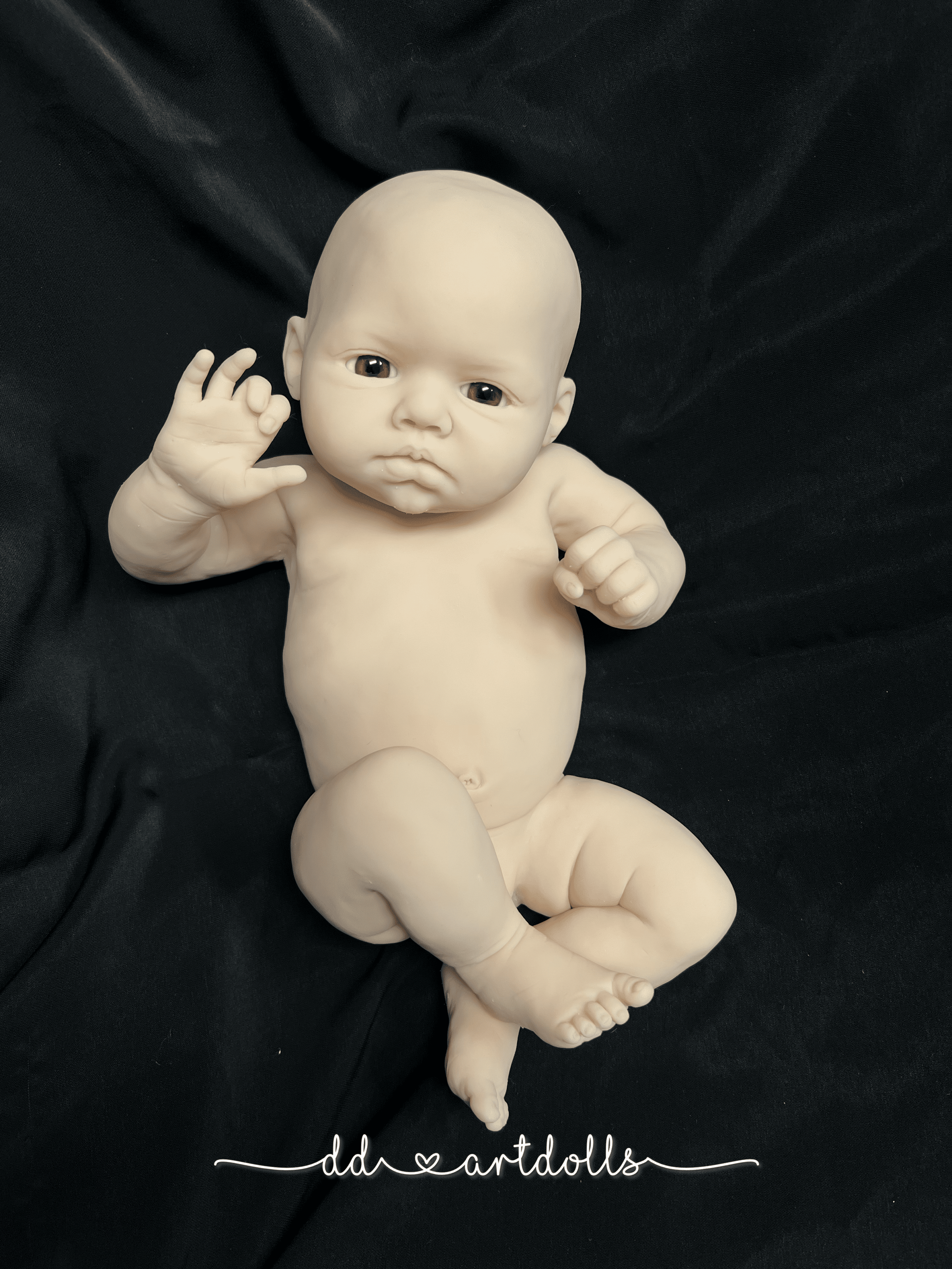 20241106_005807881_iOS