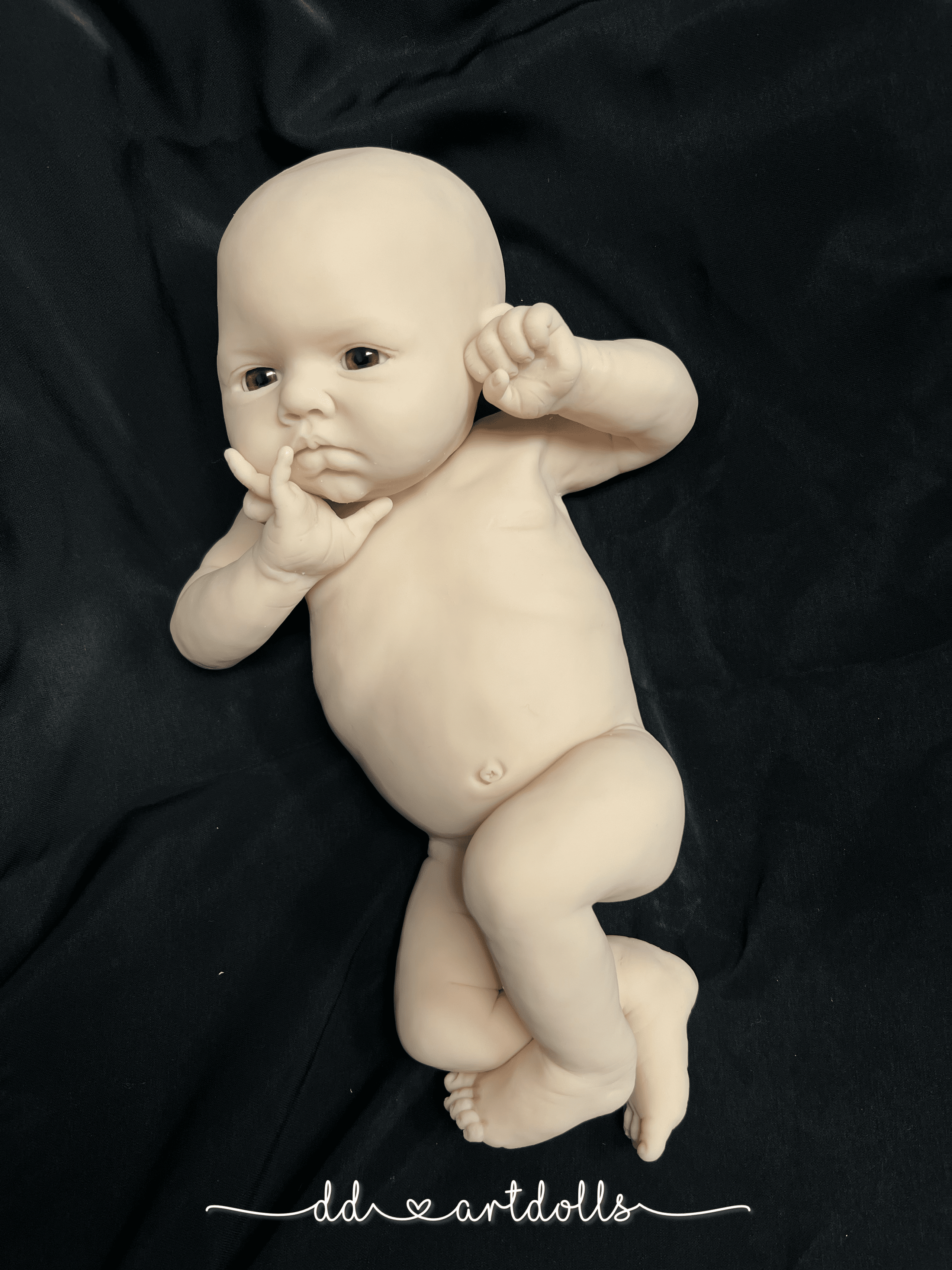 20241106_010123617_iOS