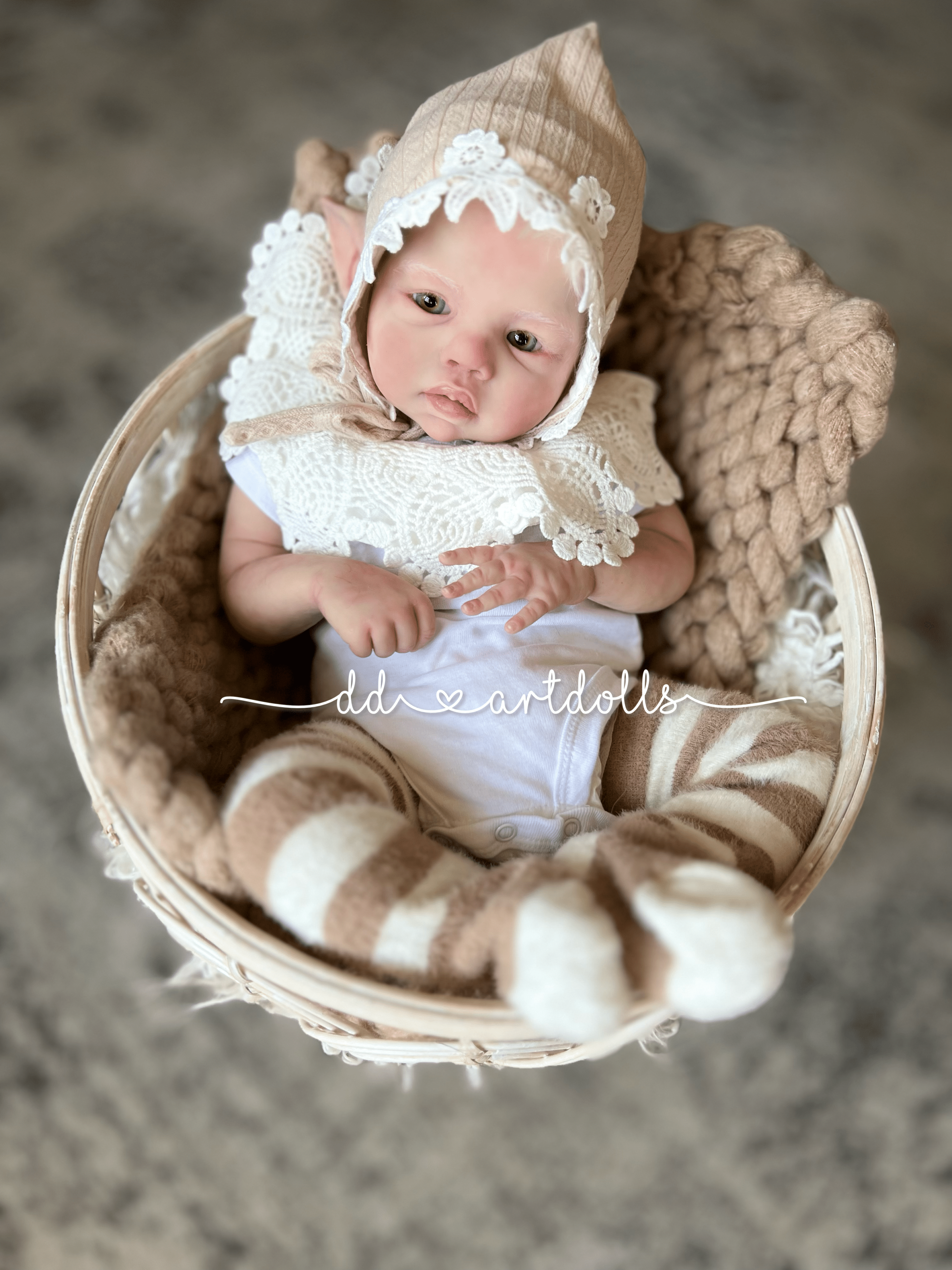 20230305_161154801_iOS