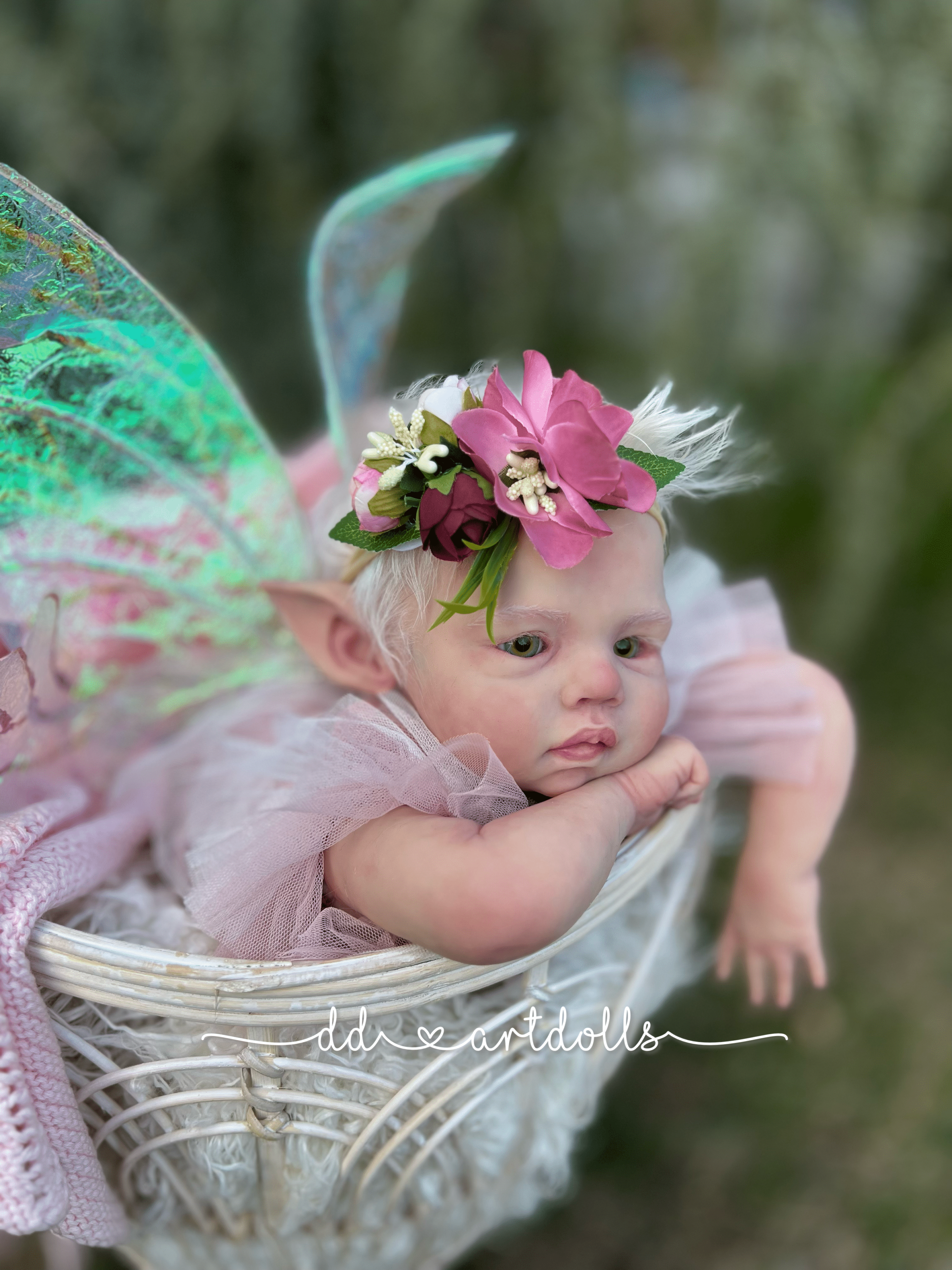 20230226_212259230_iOS