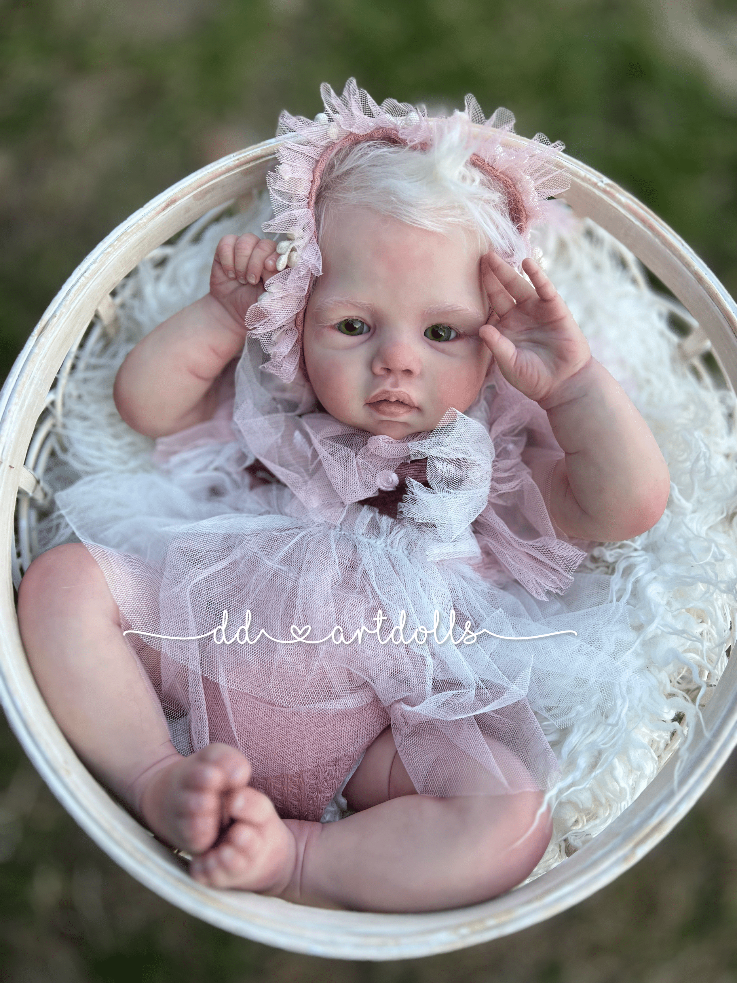 20230226_213807696_iOS