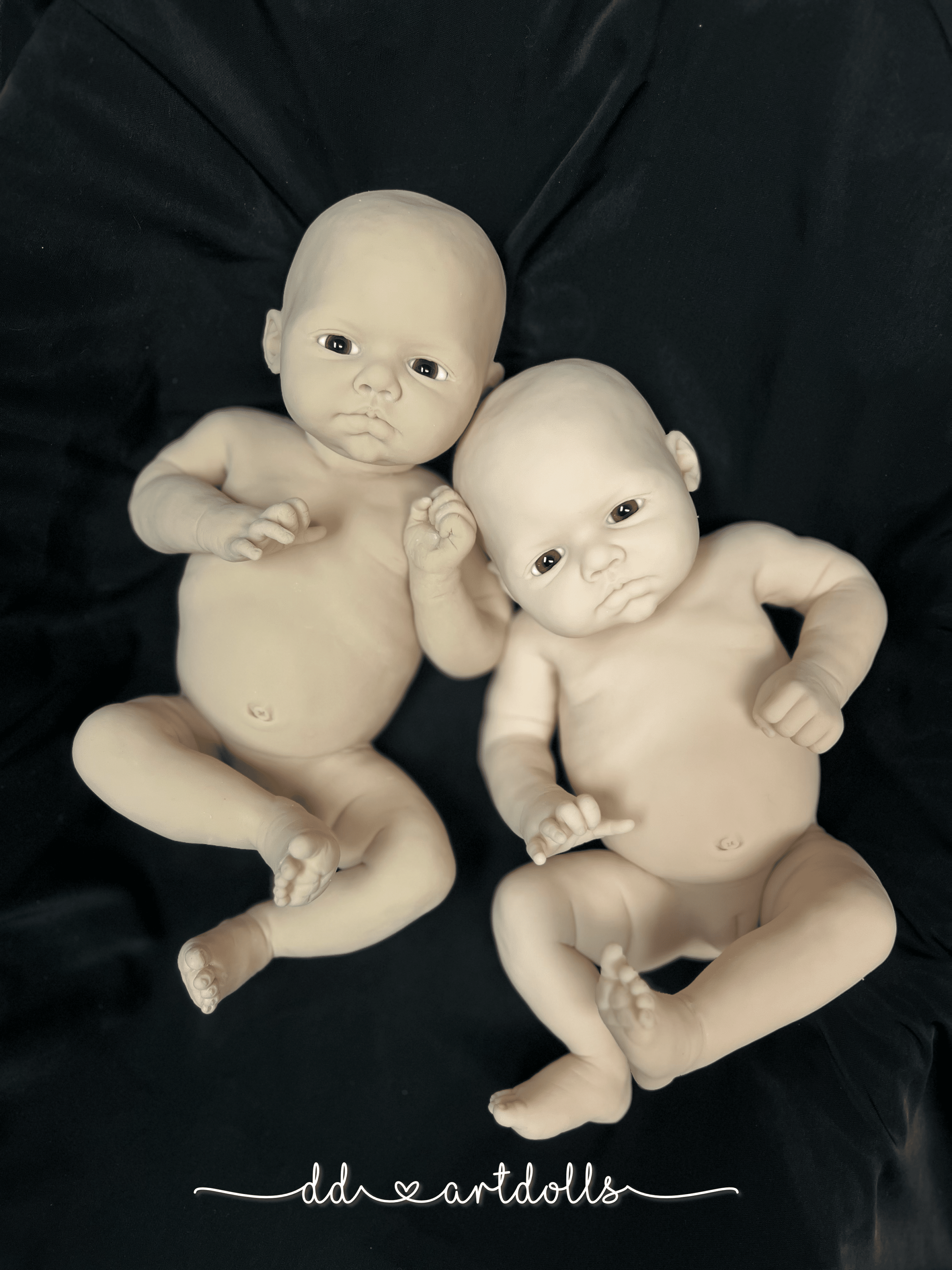 20241108_025359395_iOS