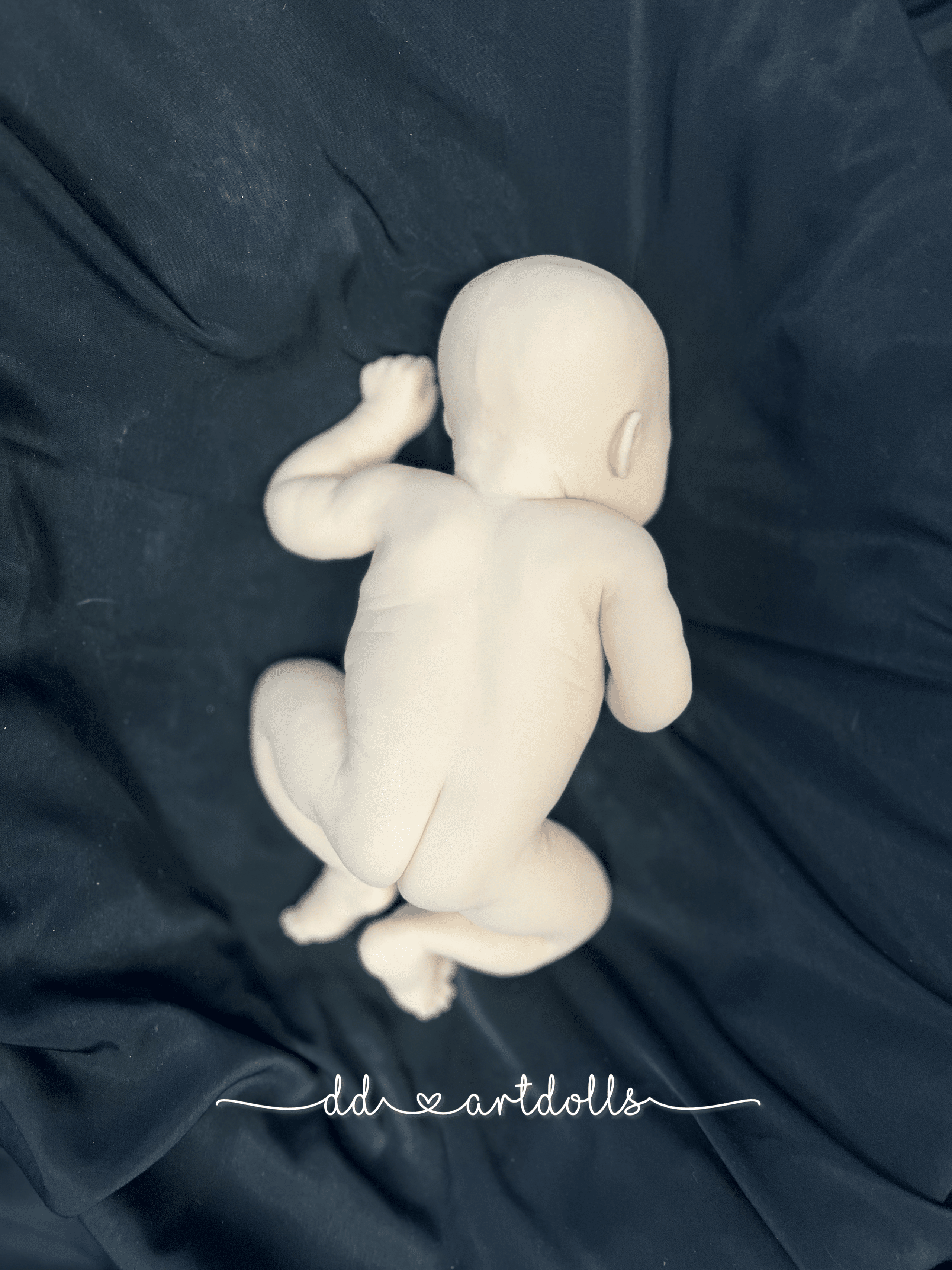 20241108_195005941_iOS