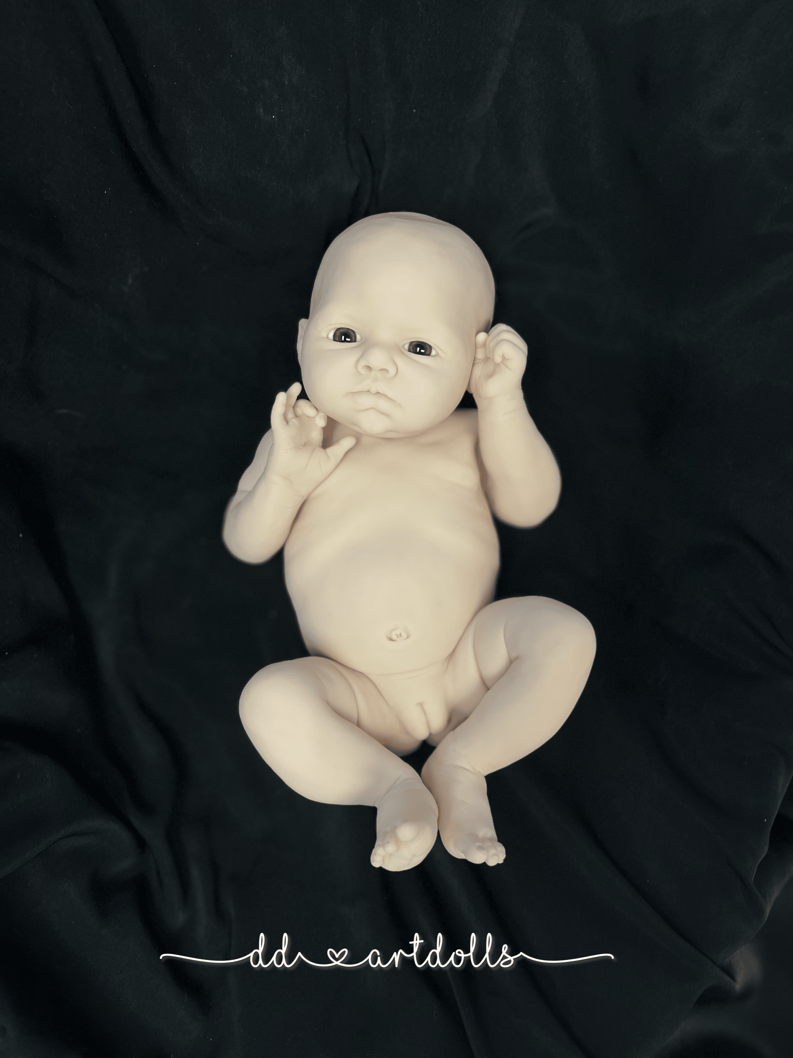 20241108_195024222_iOS