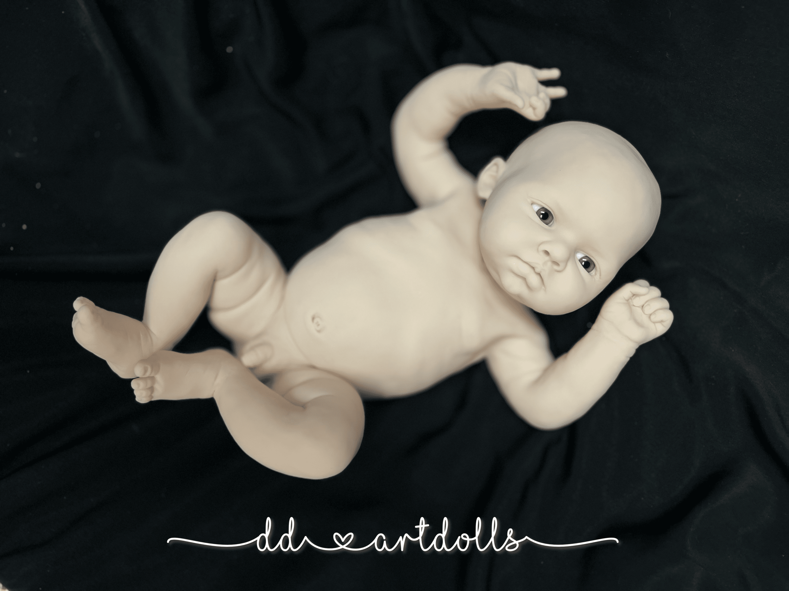 20241110_023517392_iOS