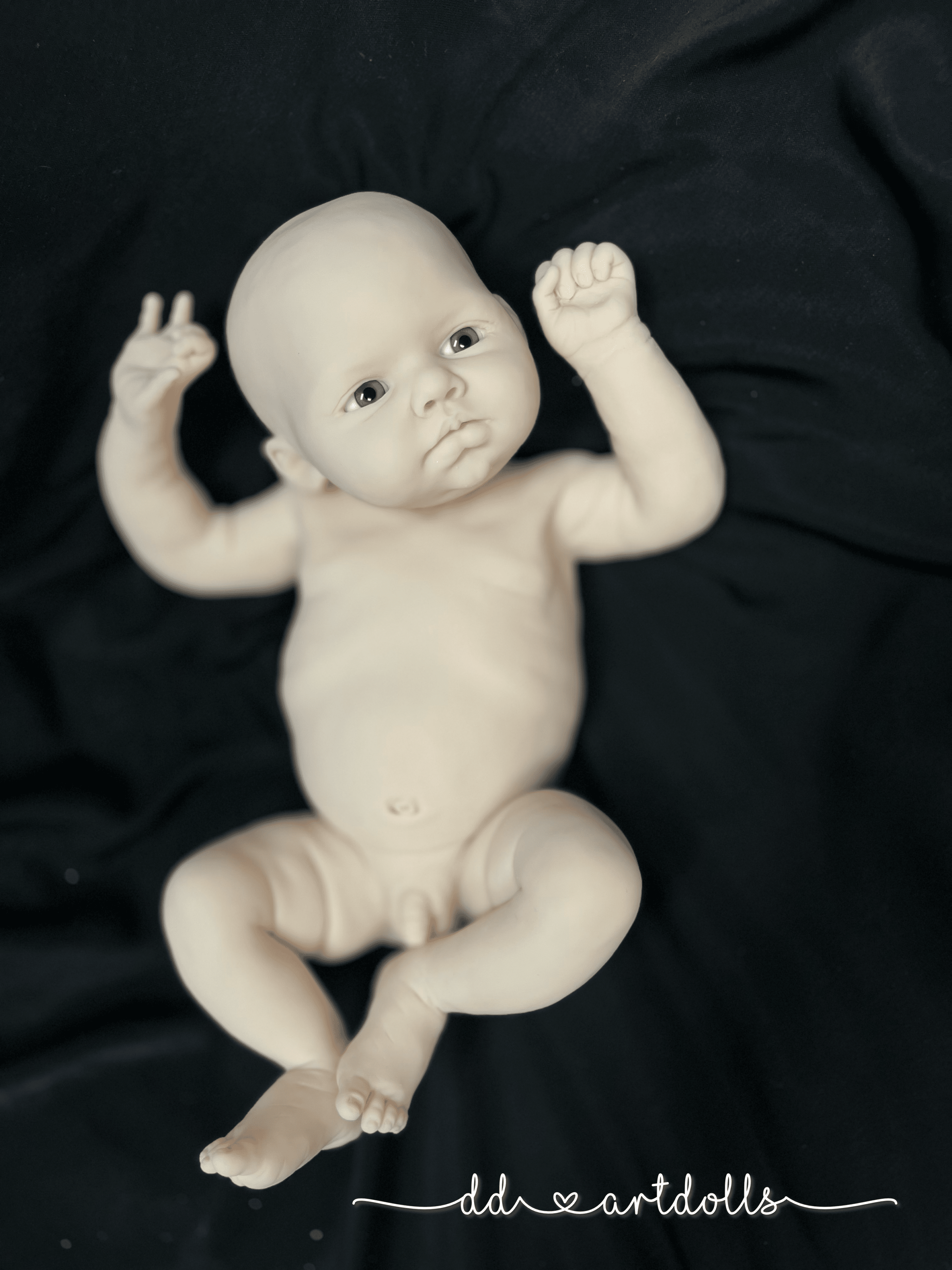 20241110_023528981_iOS