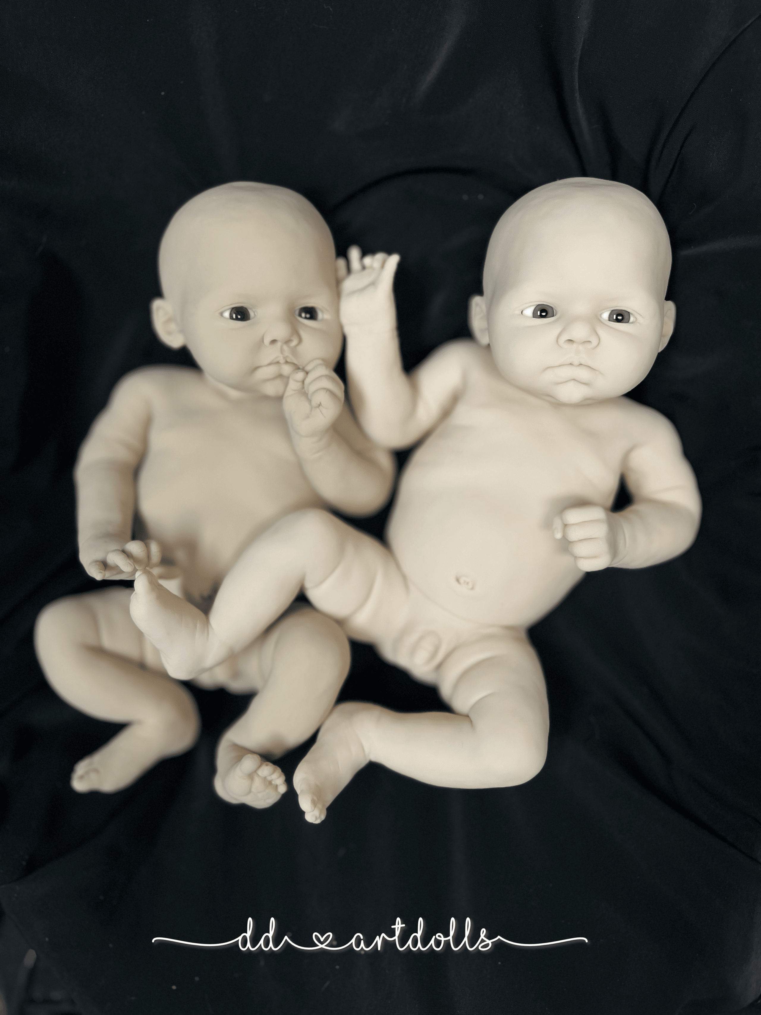 20241110_024618997_iOS