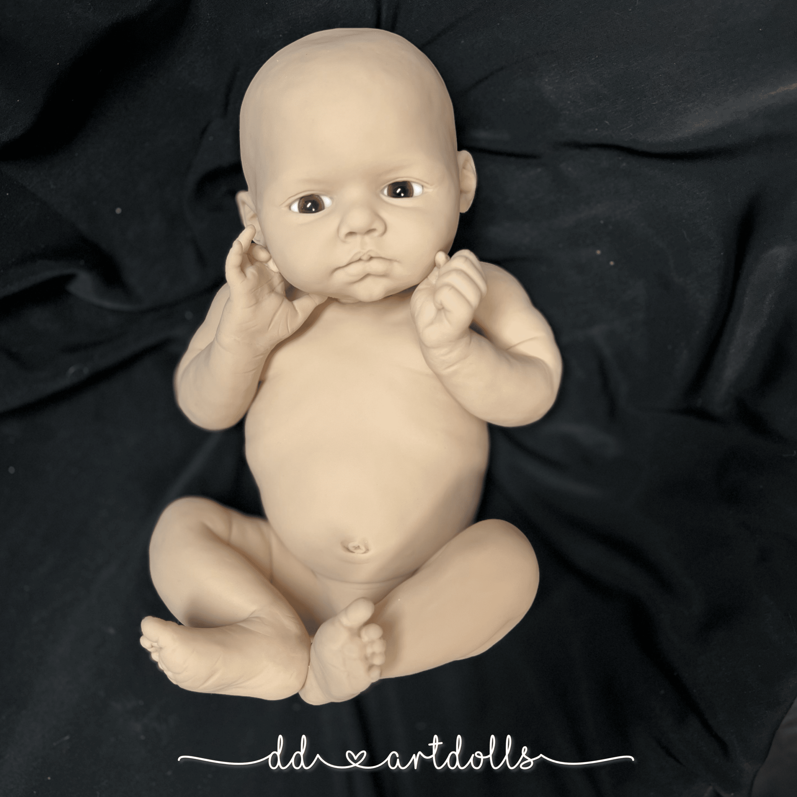 20241110_024928119_iOS