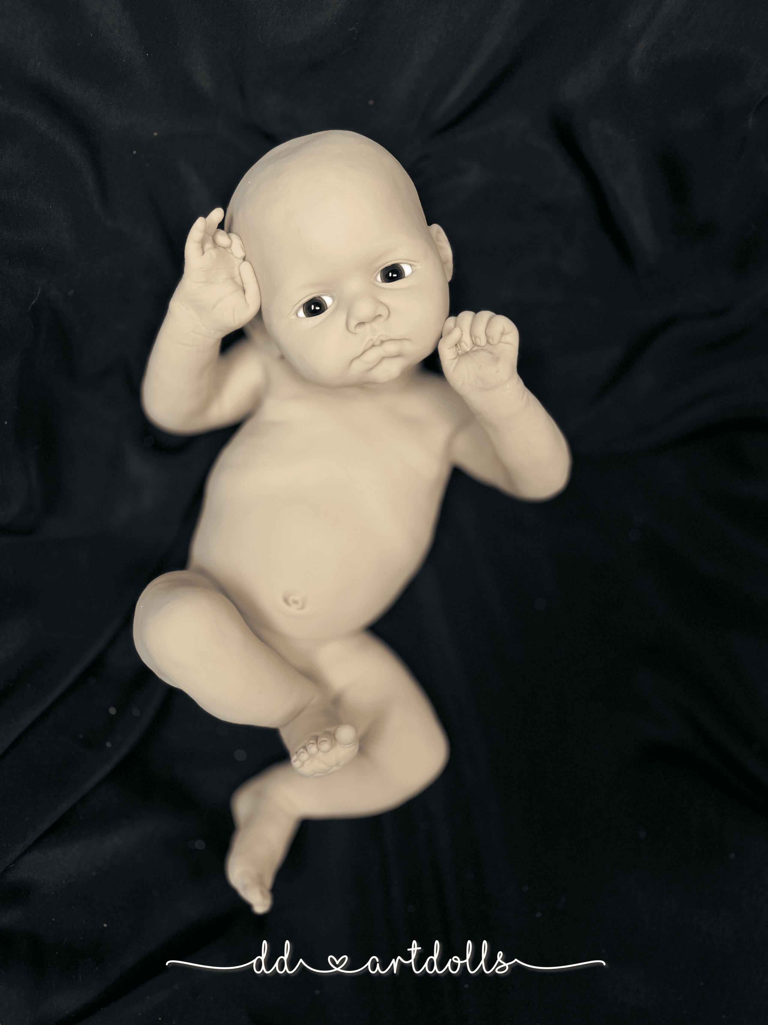 20241110_025336188_iOS